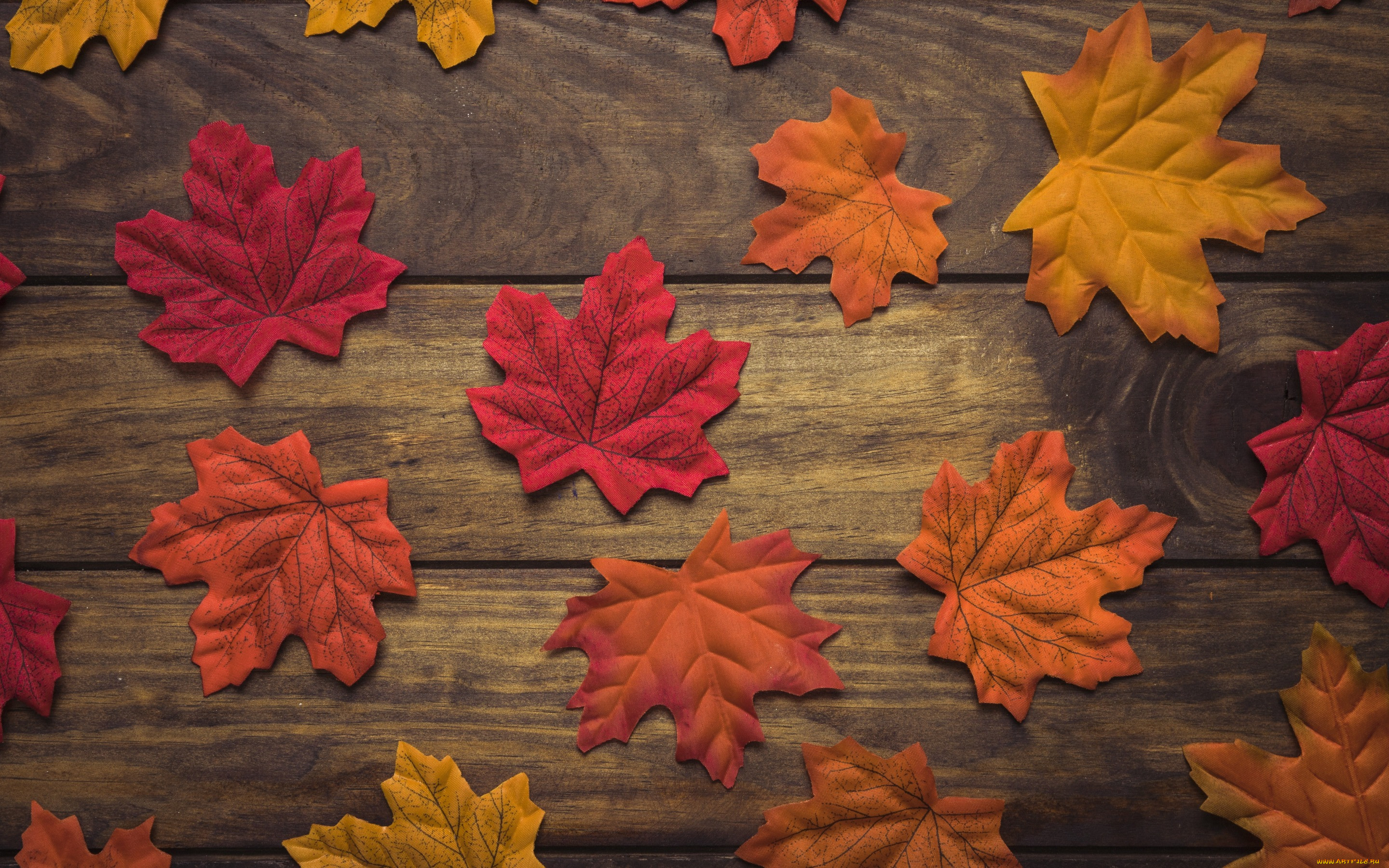 , ,  ,  , , , background, wood, , , leaves, autumn, maple, 